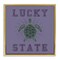 Stupell Industries Lucky Sea Turtle State Framed Floater Canvas Wall Art Design by Spirit Animals/Life Is High